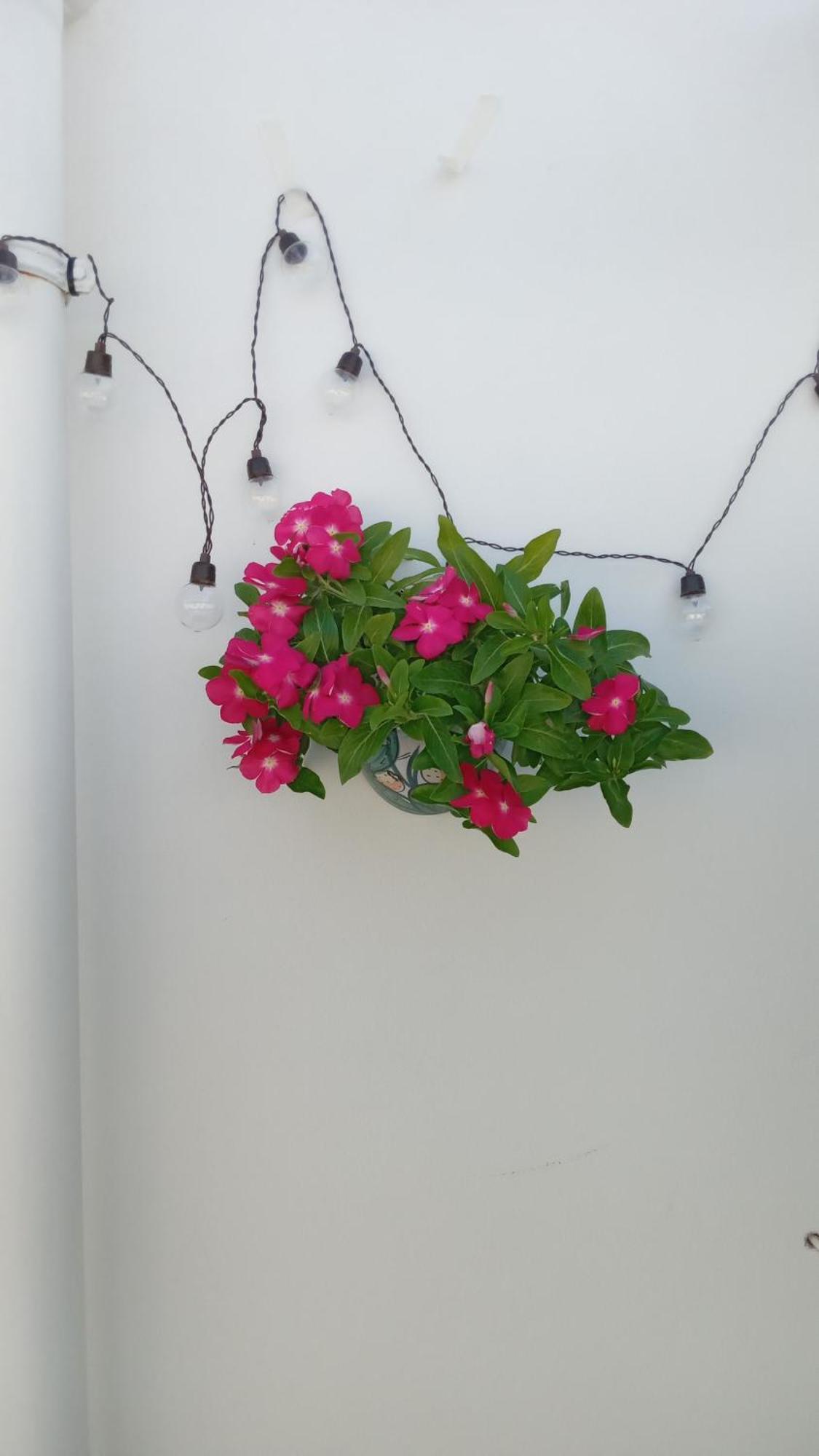 Capri House Apartment Фазано Екстериор снимка